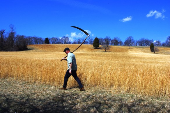 Alfonso Harpers Ferry