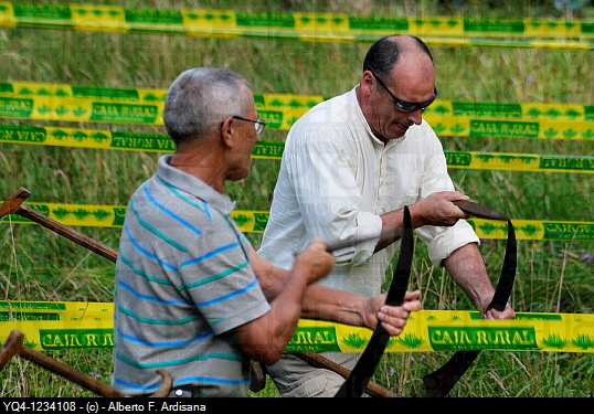 YQ4-1234108 - © - Alberto F. Ardisana