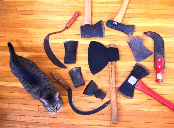 cat and axes