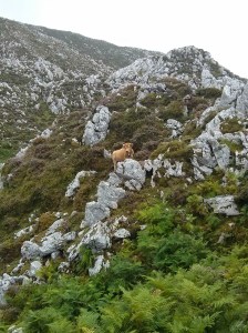 YMAIL_ATTACH_1411269120776_IMG_20140829_065627