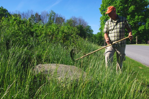 Golf course - rock and high grass