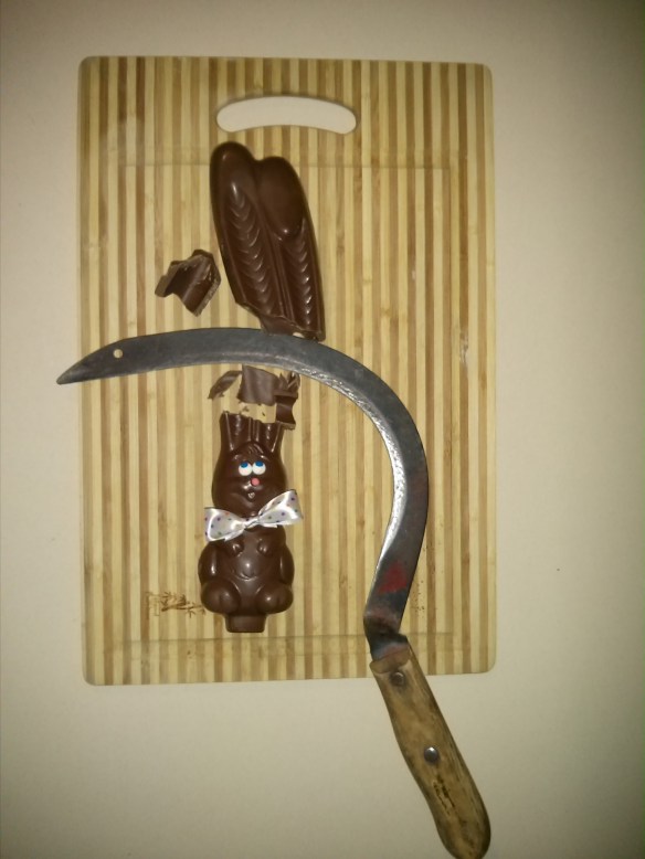 ATT_1428456758299_IMG_20150407_213130 (1)