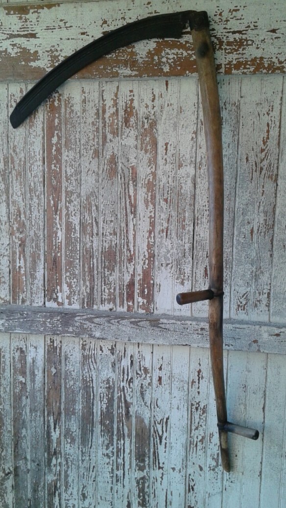 20151205_155100_resized