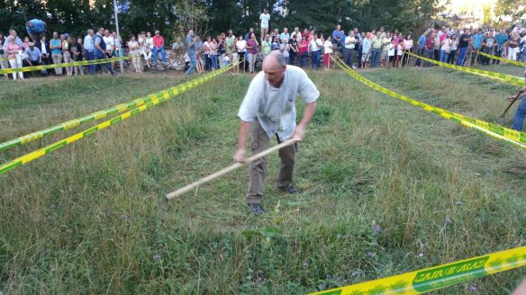 IMG-20150829-WA0010 (1)