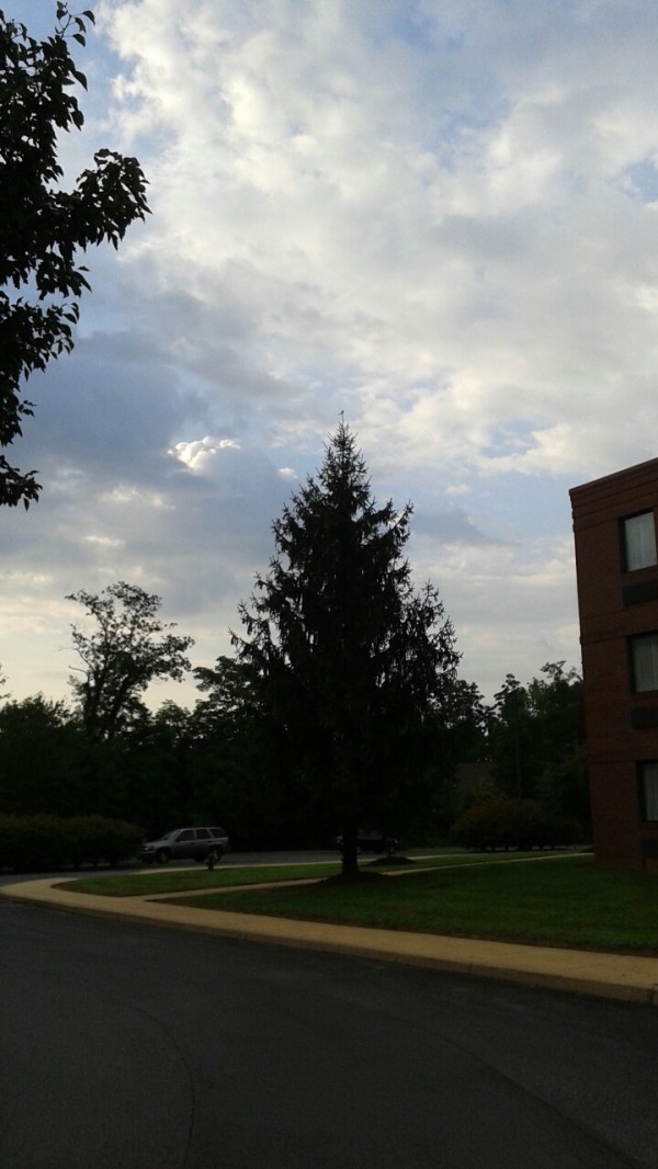 20160806_075131_resized