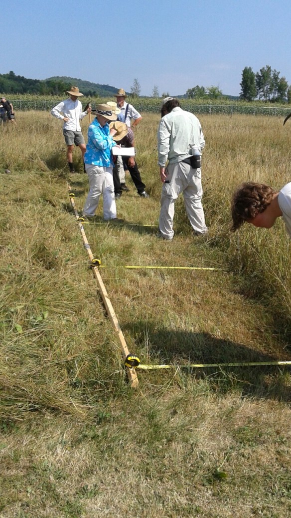 20160811_105139_resized_1