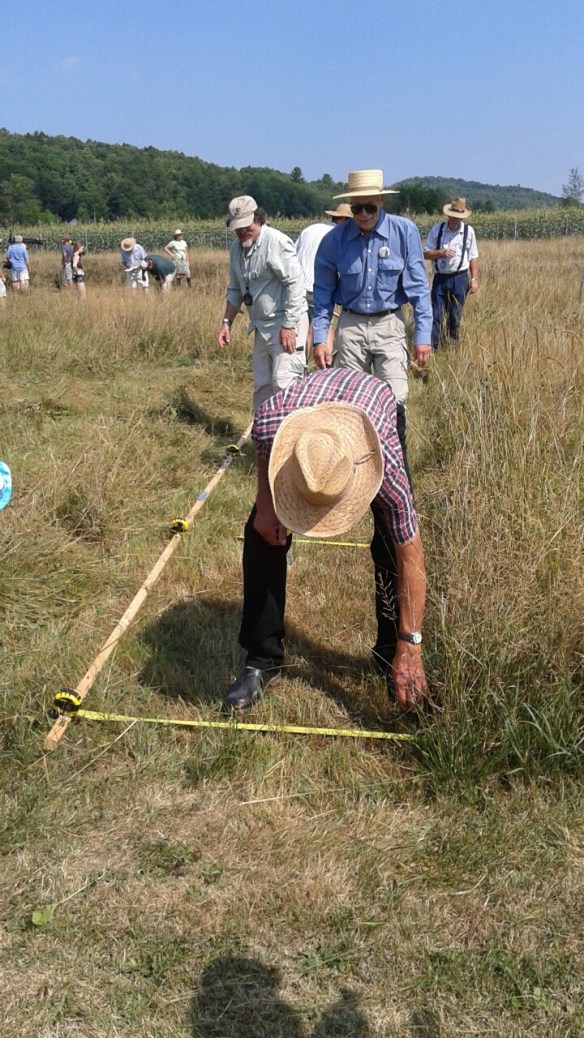 20160811_105201_resized_3